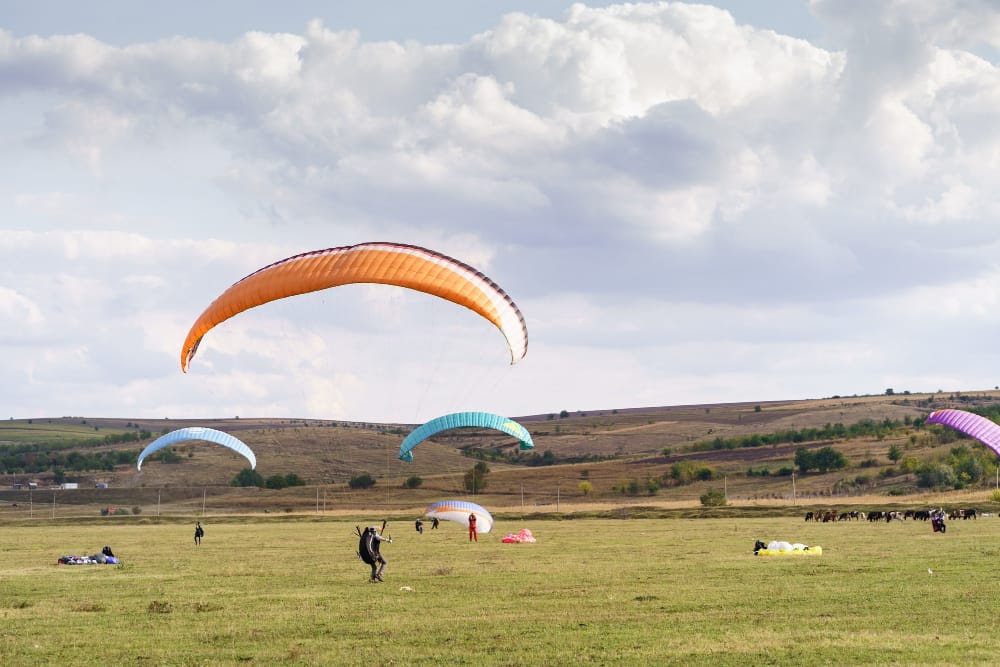 Parapantă sau zbor cu motodeltaplanul